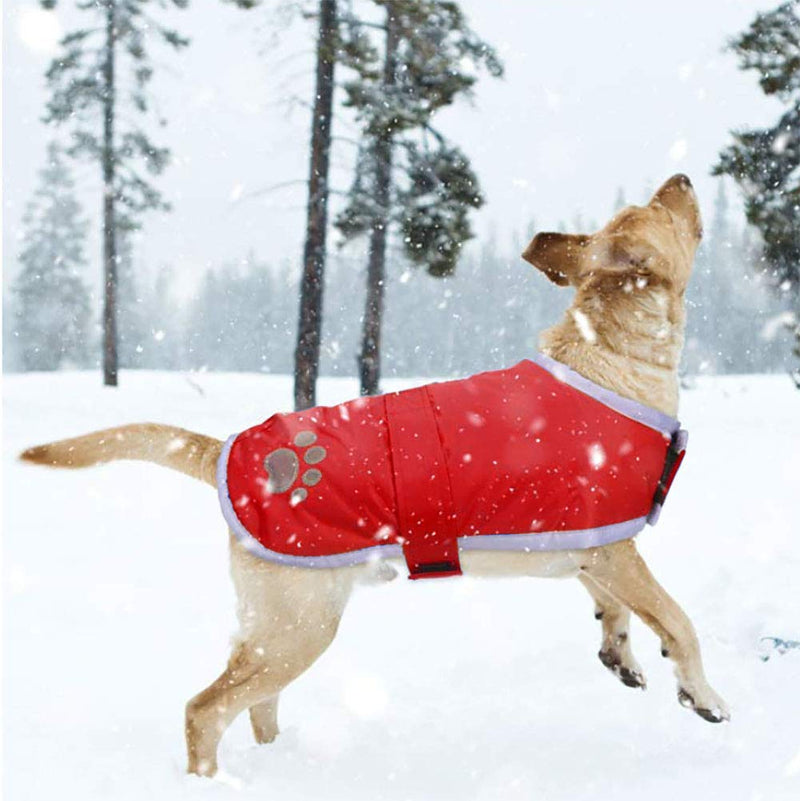 Morezi Waterproof Windproof Reversible Dog Vest Winter Coat Warm Dog Apparel Cold Weather Dog Jacket for Small Medium Large dogs - Red - XL - PawsPlanet Australia