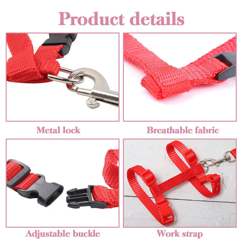 Pack of 2 adjustable rabbit harnesses, rabbit harnesses with leash, suitable for small animals such as rabbits, kittens, dogs, guinea pigs (blue + red) - PawsPlanet Australia