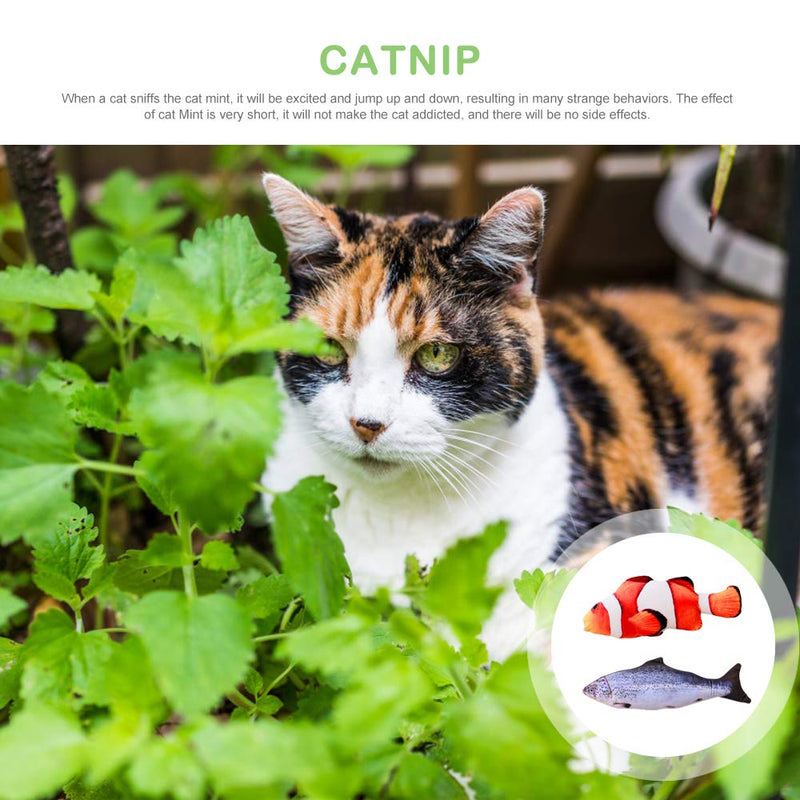 No Branded Mokinga Fish Cat Toy, Catnip Toys, 2 PCS Plush Simulation Fish Toys, Catnip Fish that Allow Cats to Play, Bite, Chew and Kick, Cat Interactive Toys(Style: Salmon, Clown Fish) - PawsPlanet Australia