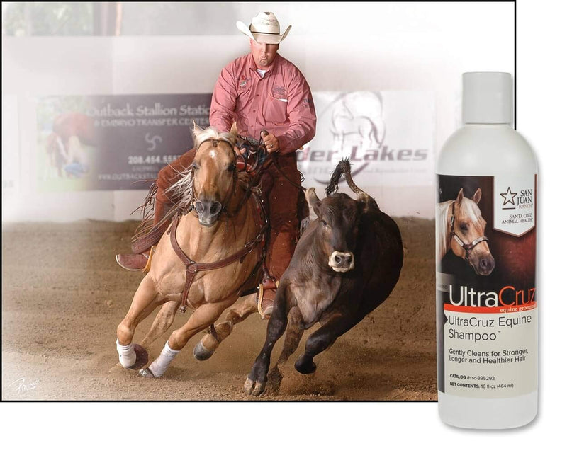 [Australia] - UltraCruz Equine Horse Shampoo, 16 oz 