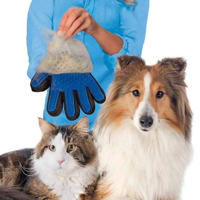 PSM cat dog hair remover, sticky roller, lint roller, pet hair removal, lint remover, WITH cat dog grooming glove brush, dog cat grooming kit, fur remover kit - PawsPlanet Australia