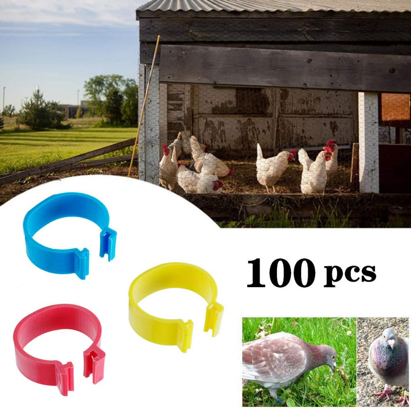 Minleer 100 Pack Chicken Identification Leg Bands Rings, Poultry Leg Bands Clip On Leg Rings for Chicks, Ducks, Chicken, Goose, Pigeons(5 Colors) - PawsPlanet Australia