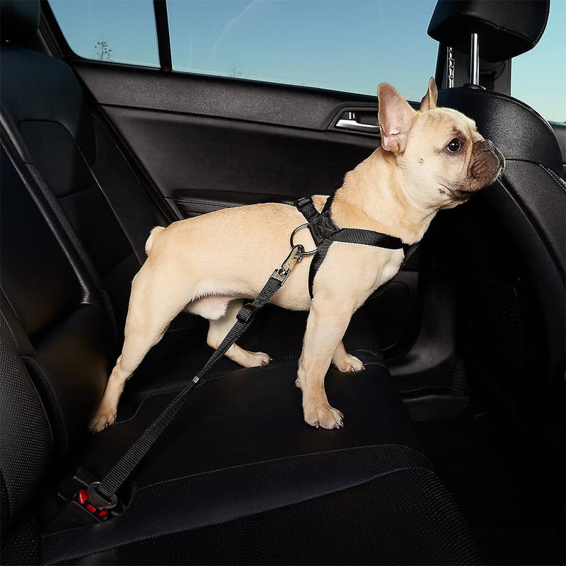 Dog belt for car, seat belt dog car, dog adjustable seat belt, seat belt cat car, dog belt for car small dogs, dog seat belt, adjustable dog belt black - PawsPlanet Australia