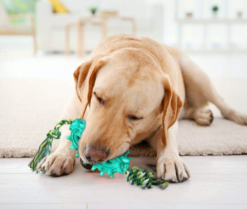 LucaSng Dog Toothbrush Toy, Cactus Shaped Dog Chew Toy with Cotton Rope, Dog Teeth Cleaning Toy, Dog Rope Toy for Small, Large Dogs and Aggressive Chewers（Blue） Blue Catus+Cotton - PawsPlanet Australia