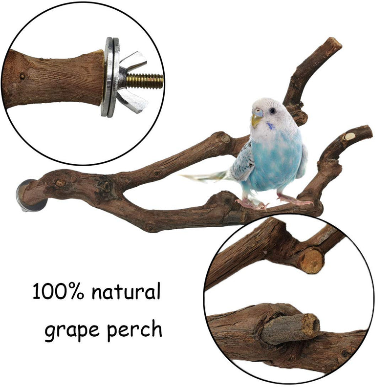 kathson Natural Parrot Perch Bird Stand Pole Wild Grape Stick Paw Grinding Fork Parakeet Climbing Standing Branches Toy Chewable Cage Accessories for Small Budgies Cockatiels Lovebirds 2PCS - PawsPlanet Australia