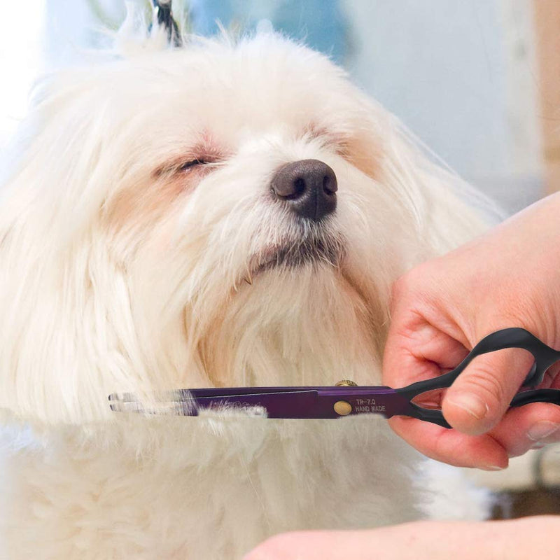 Dream Reach 7.0 inches Professional Decompressed Elastic Handle Pet Grooming Scissors Set,Straight & Chunker & 2 Curved Shears 4pcs Set for Dog Grooming 4PSC Set - PawsPlanet Australia