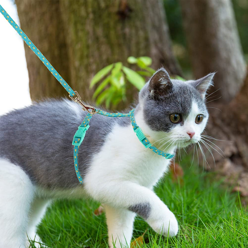 SCIROKKO Adjustable Cat Harness and Leash Set Escape Proof - Vest Harness for Kitties Walking Outdoor Pineapple - PawsPlanet Australia