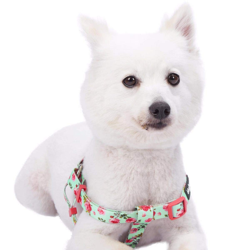 Blueberry Pet 10+ Patterns Spring Scent Inspired Floral Print/Camo Print Dog Harnesses Harness - (16.5" - 21.5") Chest Girth Turquoise - PawsPlanet Australia