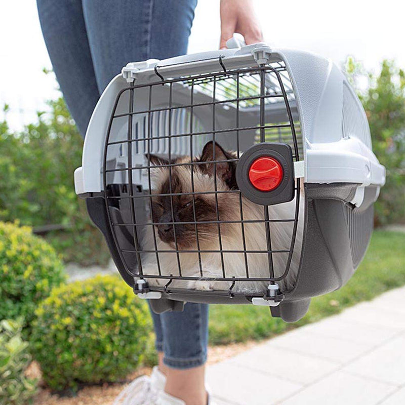 Amazon Basics Premium 2-Door Pet Carrier for Cats & Dogs, 51cm 51 cm - PawsPlanet Australia