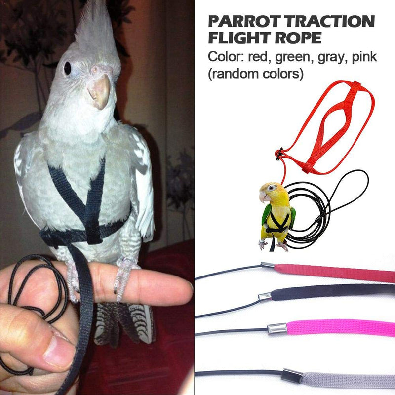 Yestter Elegant Adjustable Anti-Bite Harness and Lead for Pet Birds, Parrots, African Grey, Cockatoos, Yellow Ring Neck, Budgie, Cockatiel XS - PawsPlanet Australia