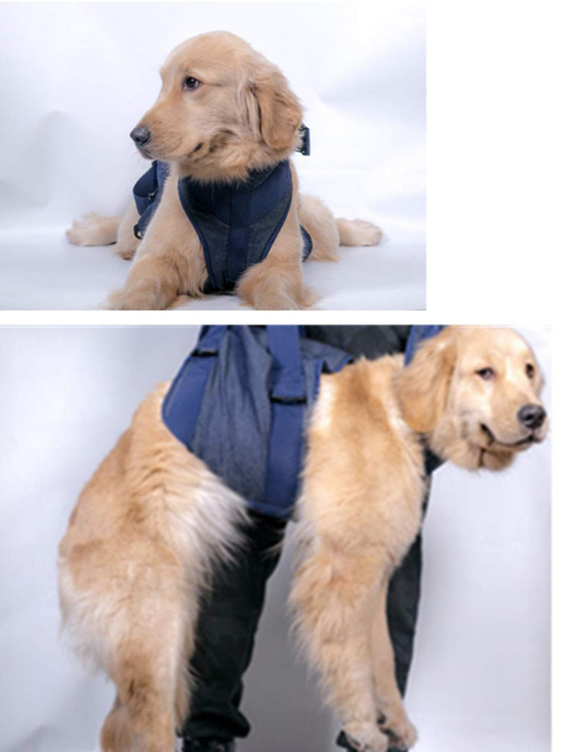 Dog Full Body Lift Support Harness - Pet Rehabilitation Walking Assistance Slings Strap Helps Dog Stand Up with Injuries Arthritis, Recover, Disability (S) S - PawsPlanet Australia