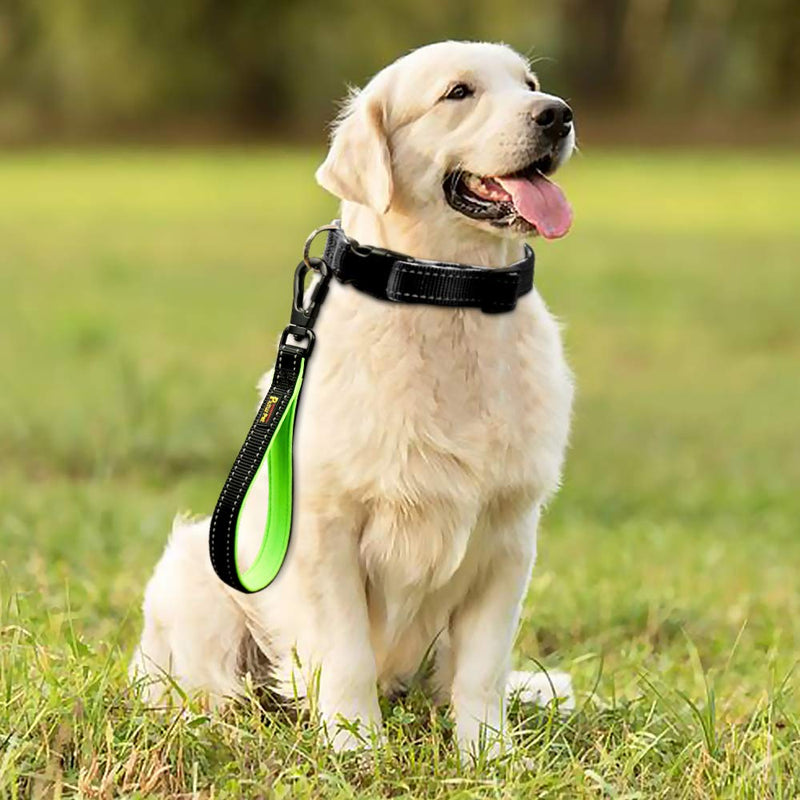 PLUTUS PET Strong Training Dog Lead with Rock Climing Carabiner Clip, Relective Nylon Dog leash Padded Handle, Training Lead for Large and Medium Dogs(25cm,Black) 25 cm (Pack of 1) Black - PawsPlanet Australia