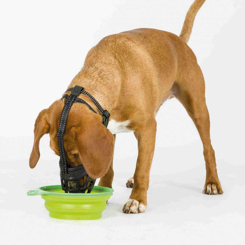 Trixie Muzzle Flex muzzle, silicone - PawsPlanet Australia