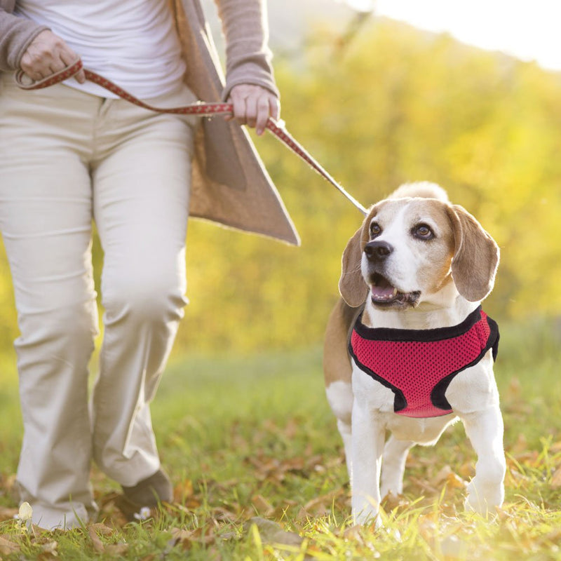 [Australia] - Weebo Pets Soft'n'Safe Adjustable Dog Harness (Pink, XS) 