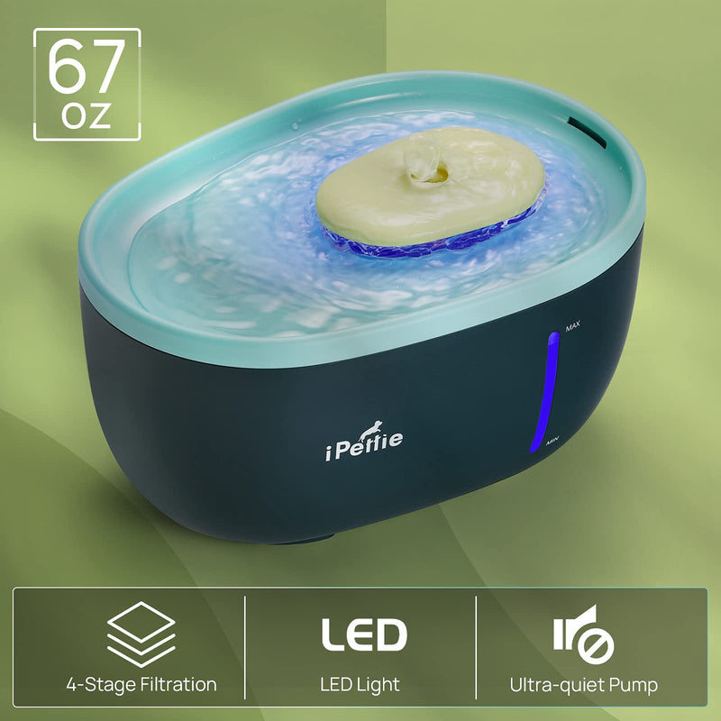 iPettie Avocado Pet Water Fountain with LED Light, 67oz/2.0L, Ultra Quiet Cat Water Fountain with Filter, Automatic Pet Water Fountain for Cats and Small Dogs, Blue Blue (with Adapter) - PawsPlanet Australia