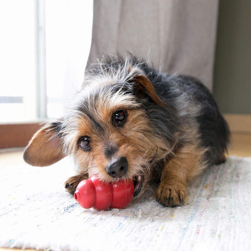 KONG - Classic Dog Toy - Durable Natural Rubber - Fun to Chew, Chase and Fetch - For Small Dogs Red - PawsPlanet Australia