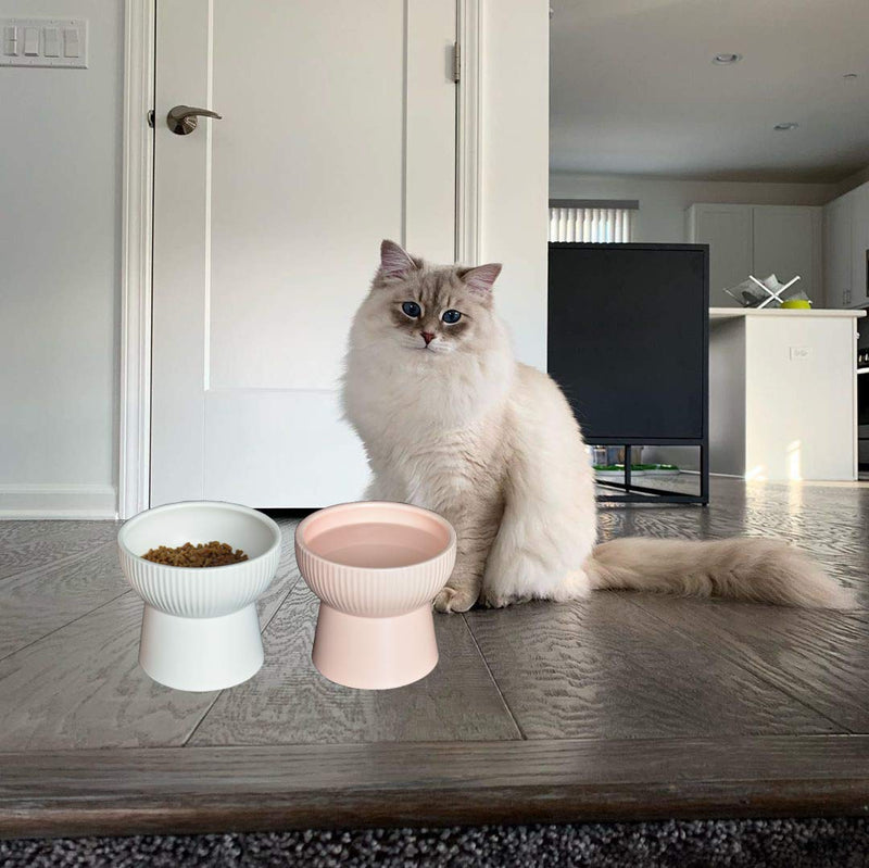 [Australia] - Lorde Raised Cat Bowls, Elevated Cat Food Bowls Water Bowl with Stand Ceramic Cat Feeding Bowls Pet Food & Water Bowls White 