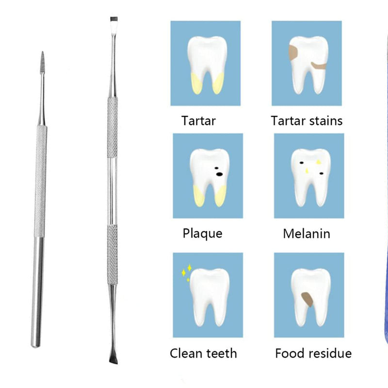 Tartar Remover for Dogs, 2 Pieces Stainless Steel Mouth Tool Dental Hygiene Set for Dogs 2 Pieces - PawsPlanet Australia