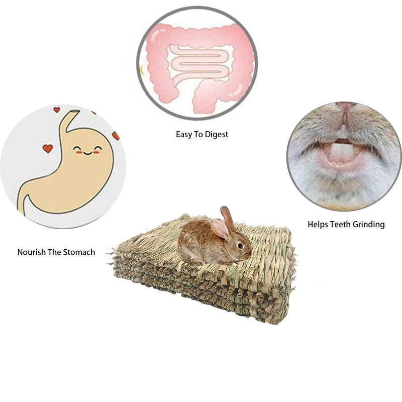 WANBAO 3 Pcs Woven Straw Mat Bed, Rabbit Mat, Suitable for Hamsters, Parrot Rabbits and Other Small Animals - PawsPlanet Australia