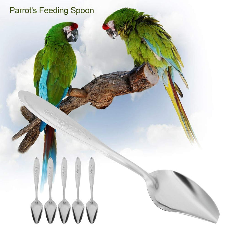 Bird Feeding Spoon, 5Pcs Stainless Steel Metal Special Parrot Milk Spoons for Peony Cockatiel - PawsPlanet Australia