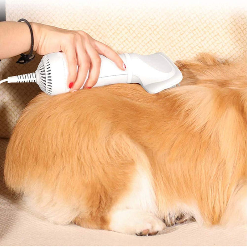 LUOWAN 2-In-1 Pet Dog Hair Dryer Comb 300W Low Noise Grooming Blower with Adjustable Temperatures Settings for Small and Medium Dogs and Cats(UK Plug) - PawsPlanet Australia