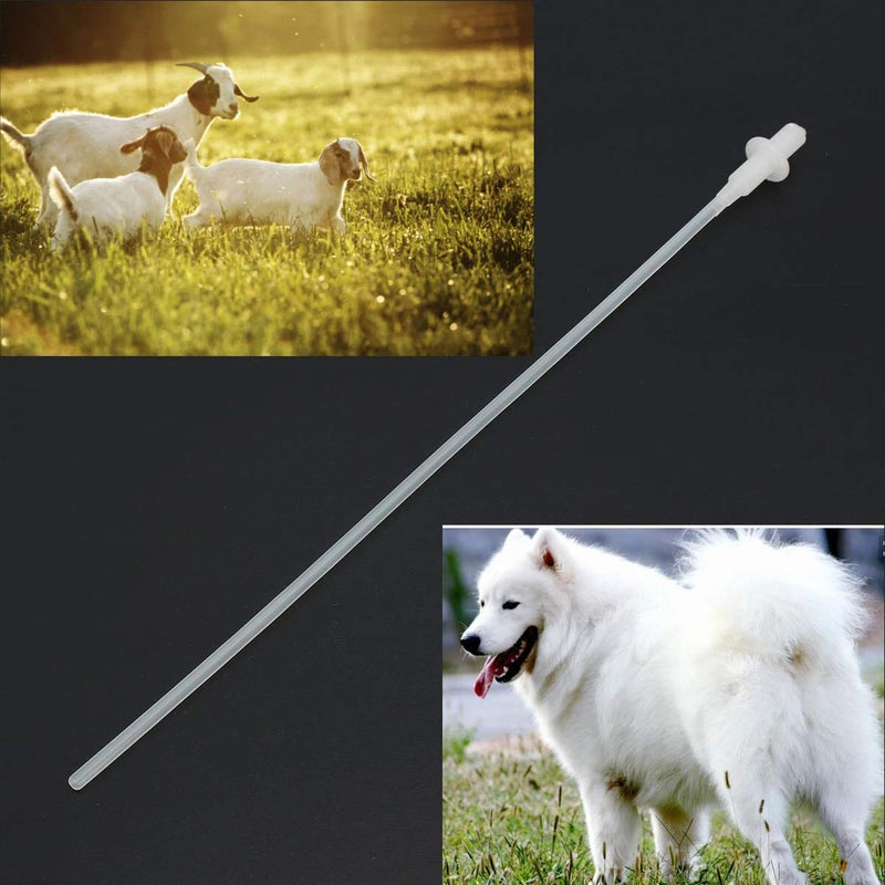 TANCHEN 50Pcs 10inches Disposable Artificial Insemination Rods Tube for Dog Goat Sheep Breed Rod Test Tube - PawsPlanet Australia