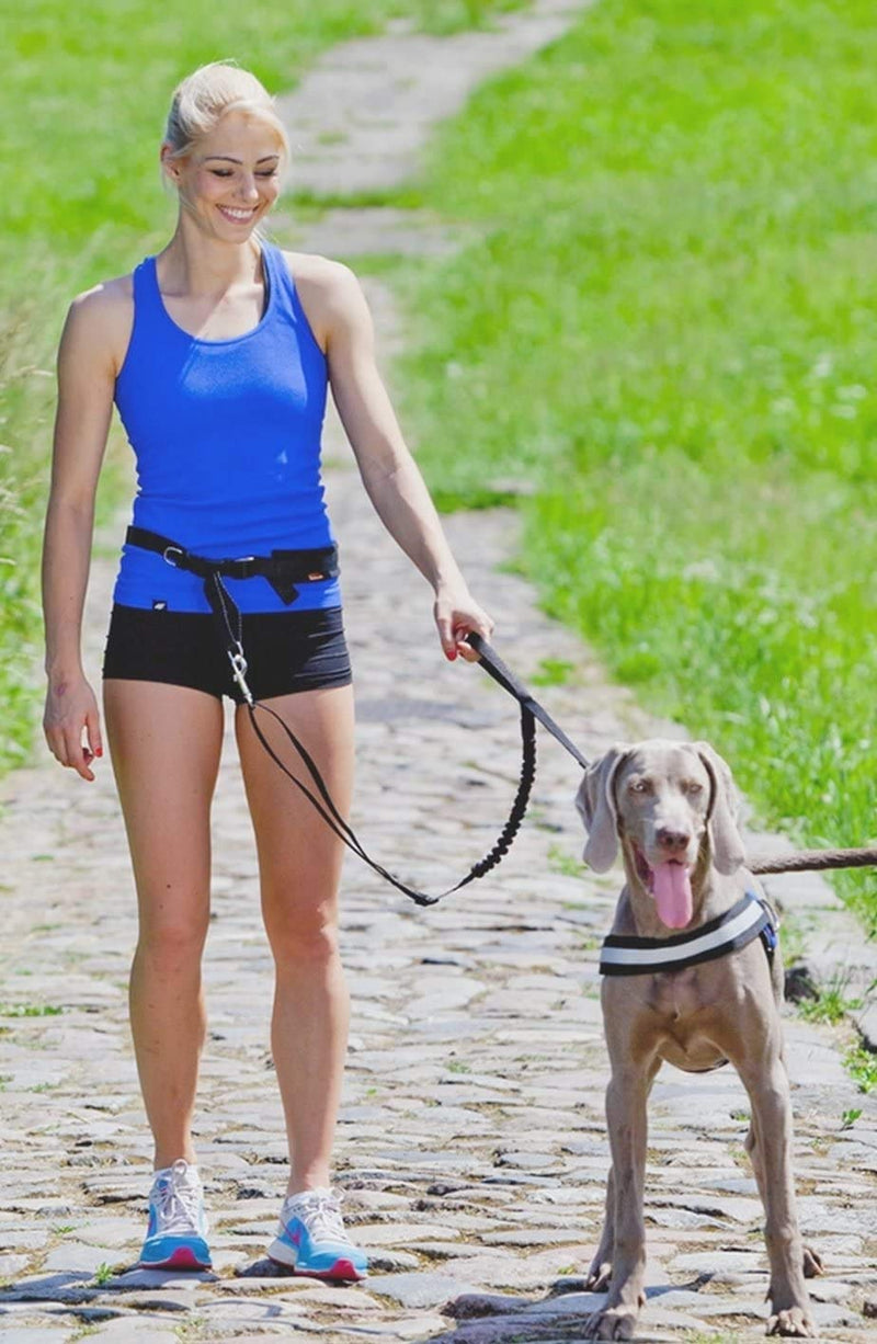Dingo jogging belt 4 in 1 + dog leash with a shock absorber set L/XL belt: 3.0 x 70-130 cm dog leash: 2.5 x 120-150 cm black free hands for jogging, running 12779 L/XL (pack of 1) - PawsPlanet Australia