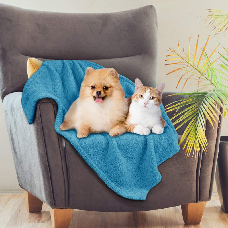 Comsmart Dog Blanket, Pet Puppy Blanket Shu Velveteen Fluffy Soft Throw Blanket Kitten Mat Pad Bed Cover for Dogs, Cats, Animals -23.6 x 31.5 inches 23.6 x 31.5 inches Blue - PawsPlanet Australia