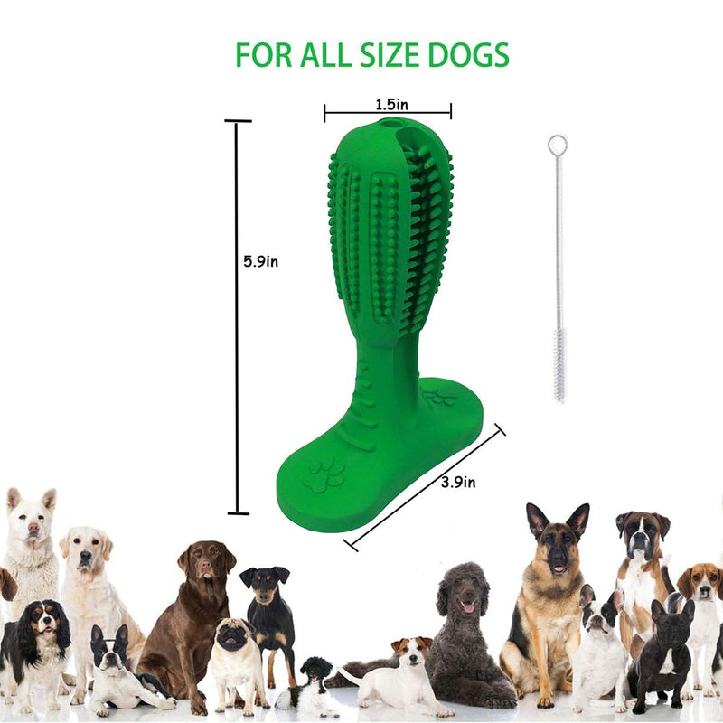 BDUK Dog Toy Dog Toothbrush Stick Dog Chew Toys Bite Resistant Nontoxic Natural Rubber Puppy Dental Care Brushing Effective Doggy Teeth Cleaning interactive Massager for Medium Dogs Pets,(Green) - PawsPlanet Australia