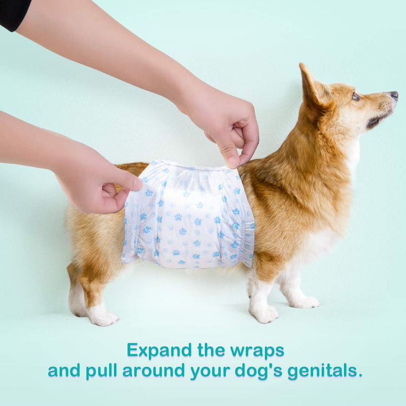 Pet Soft Male Dog Nappies - Disposable Pet Diapers Male Dog Wraps, Super Absorbent Doggy Puppy Nappies for Dogs & Cats Urinary incontinence Medium 12count M 12count (18'-25') - PawsPlanet Australia