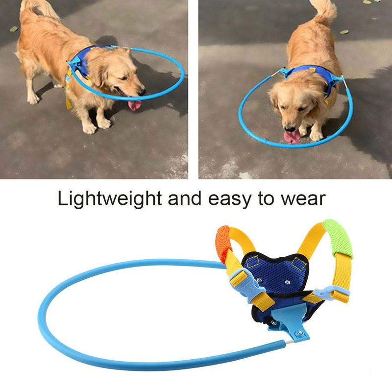 Blind Dog Harness Adjustable Halo Anti-Collision Vest Guide Device Protective for Pet Dogs Cats (S) S - PawsPlanet Australia