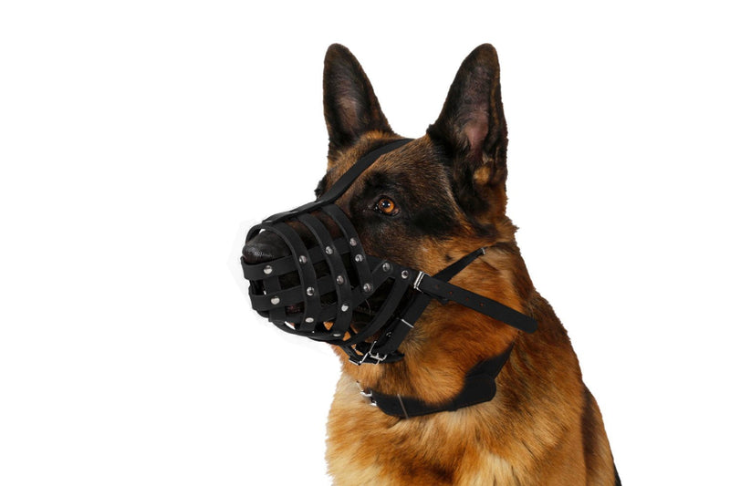 CollarDirect Dog Muzzle German Shepherd Dalmatian Doberman Setter Leather Basket Medium Large Breeds Black Brown Medium (Pack of 1) - PawsPlanet Australia