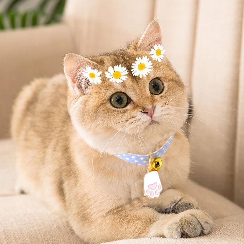 AAED Pack of 4 cat collars, cat collars with safety clasp, cat collars, adjustable cat collar, cat collar, kitten collar with bell (4 colors, style A) - PawsPlanet Australia