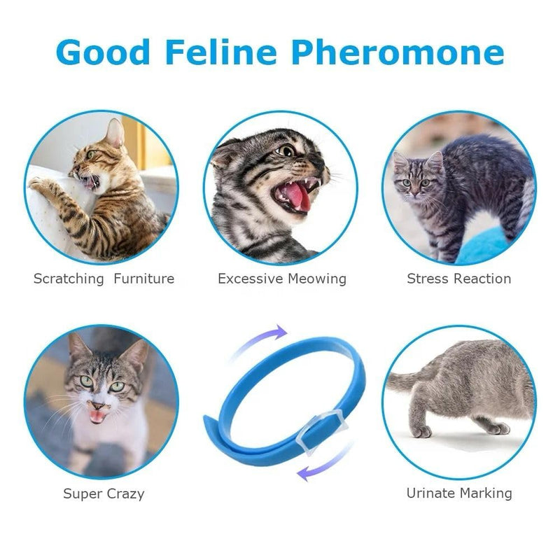 Adjustable Collar with Powerfull pheromones for Cats, relieves Anxiety, Brings Calm and Reduces Stress in Your pet for 30 Days, 1 Unit FEROGATOS - PawsPlanet Australia