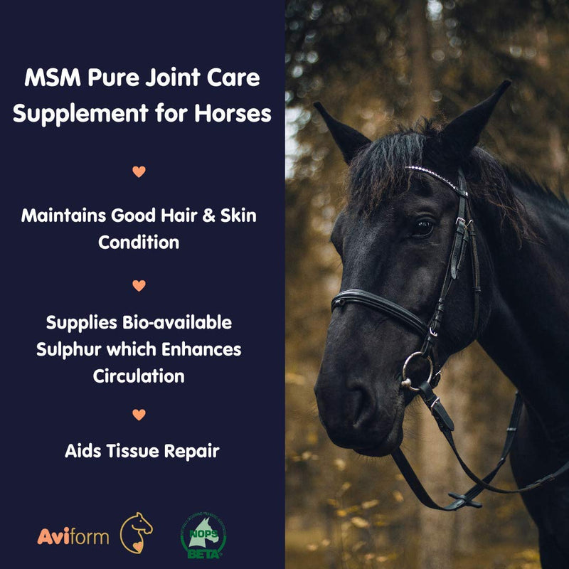 Aviform MSM Equine Joint Supplement for Horses - Highest Purity for Excellent Joint Maintenance, Healthy Growth of The Hoof, Tendons, Soft Tissue, Muscles and Ligaments - 2kg Compostable Pouch - PawsPlanet Australia