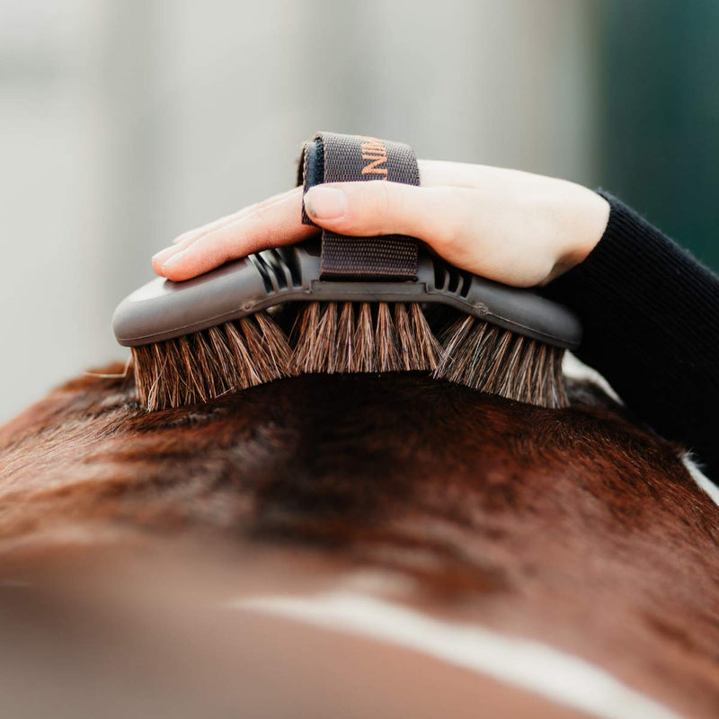 Animalon CareFlex horsehair brush brush | Flexible & ergonomic horse brush with Velcro fastener for comfortable horse grooming | Horse Accessories | Horse Grooming Supplies (Brown) - PawsPlanet Australia