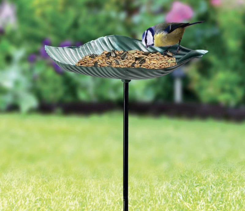 ADEPTNA Garden Ornament Bird Feeder Cast Iron Wild Dish Seed Dish Bath – Attracts a Wide Variety of Birds (LEAF) LEAF - PawsPlanet Australia