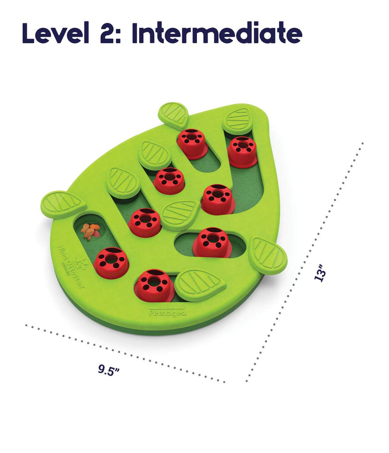 Nina Ottosson from Petstages Buggin Out Puzzle & Play - Interactive cat toy for treats Treat Puzzle - PawsPlanet Australia