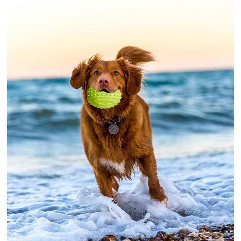 Dog ball and Fetch Game teathing Ball Toys Dogs Exercise Training for Large Medium Small Dogs Hands Free Ball Free Pick Up and Throw Play Toy for Puppy Exercise & Training Dog Teething Ball - PawsPlanet Australia