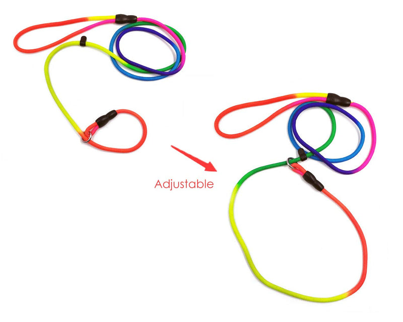 SCSpecial Dog Training Leash 4 Feet Rope Dog Leash Dog Slip Lead Dog Training Lead - Rainbow Color - PawsPlanet Australia