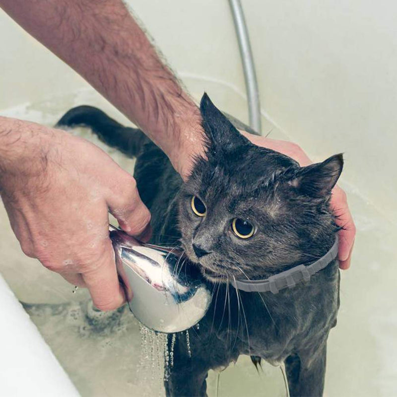 EXPAWLORER Waterproof Cat Flea & Tick Collar 8 Month Protection, Best Flea Control Treatment for Cats Kittens - PawsPlanet Australia