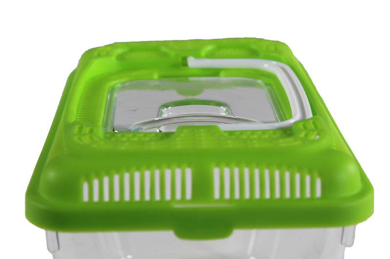 Penn-Plax Small World Habitat – Portable Clear & Transparent Plastic Tank – Excellent for Small Critters & Creatures – Easy to Clean & Handle – Great for Indoors & Outdoors 0.6 Gallon - PawsPlanet Australia