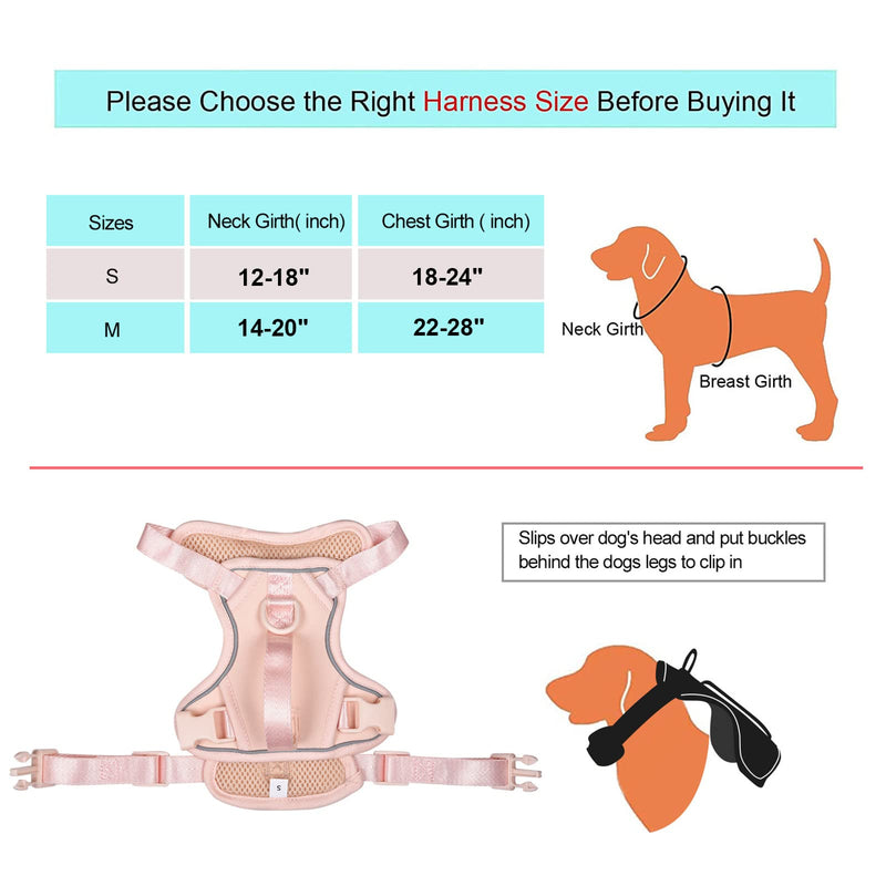 Petmolico Dog Harness for Small Medium Dogs No Pull, Cute Dog Harness with Two Leash Clips and Soft Handle, Reflective Easy Walk Dog Harness with Leash Pink - PawsPlanet Australia