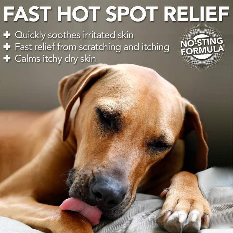 Vet’s Best Dog Hot Spot Itch Relief Spray | Relieves Dog Dry Skin, Rash, Scratching, Licking, Itchy Skin, and Hot Spots | No-Sting and Alcohol Free | 8 Ounces 8 oz - PawsPlanet Australia