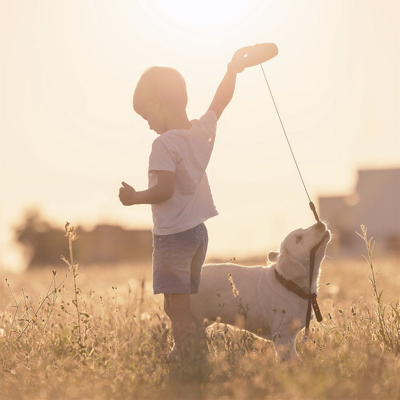 [Australia] - Weebo Pets 10-Foot Extra-Small Retractable Dog Leash with Safety Ribbon Red 