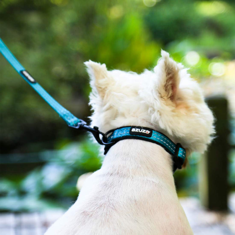 [Australia] - azuza Durable Padded Dog Leash and Collar Set, Reflective Strip Extra Safe and Comfy for Small to Large Dogs S (Neck: 11"-16") Vitality Blue 