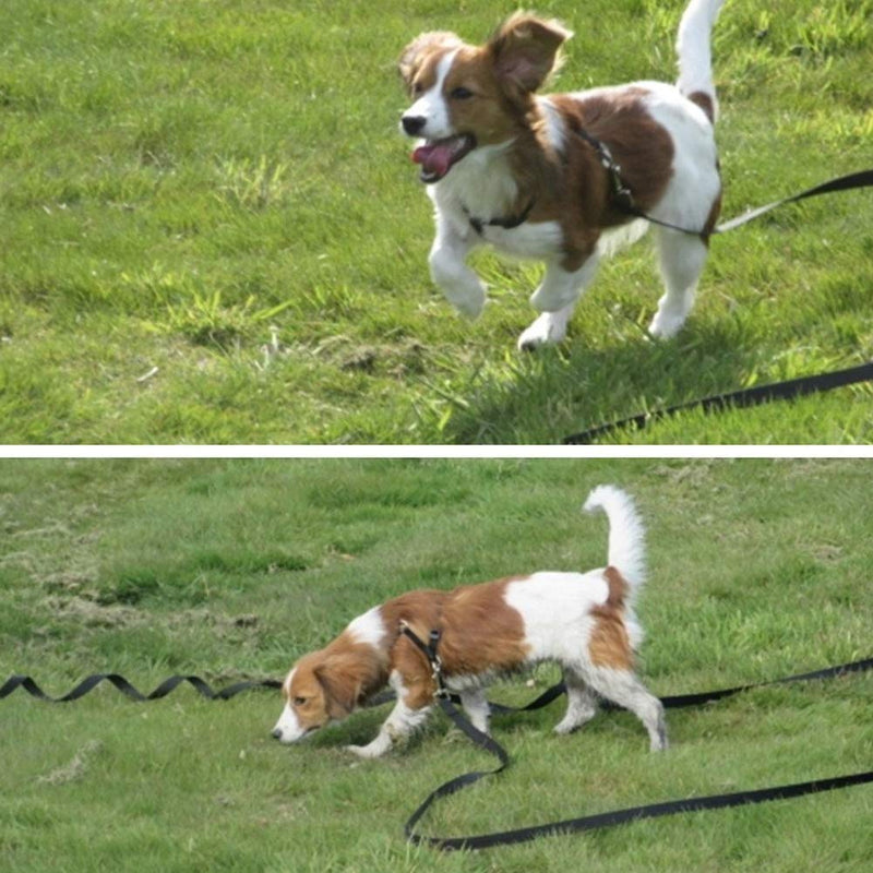 EAHOME Dog Training Lead Long Rope Cotton Nylon Webbing Recall Obedience Line Leash for Pet Long Lead For Large, Medium and Small Dogs - Great for Training, Play, Camping, or Backyard(10M) 10M - PawsPlanet Australia