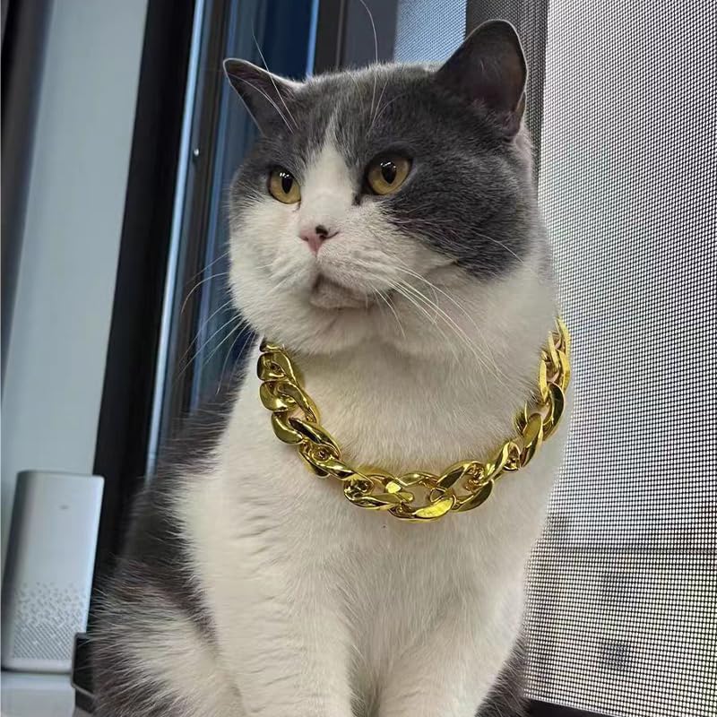 YangQian Dog Chain Necklace for Small Dogs Cat Chain Collars for Boy Girl Cats Cuban Link Dog Collar Choker Chain Adjustable Gold Chain Dog Collar Pet Cat Collar Chain Animal Dog Necklace Accessories Gold Chain Pet Collar - PawsPlanet Australia