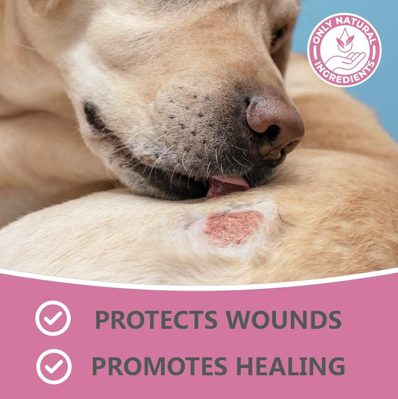 Pets Purest Wound & Antiseptic Spray for Dogs, Cats & Pets - 100% Natural Spray on Plaster Treatment for Healing, Soothing & Pet First Aid Health Supplies Kits - 65ml - PawsPlanet Australia