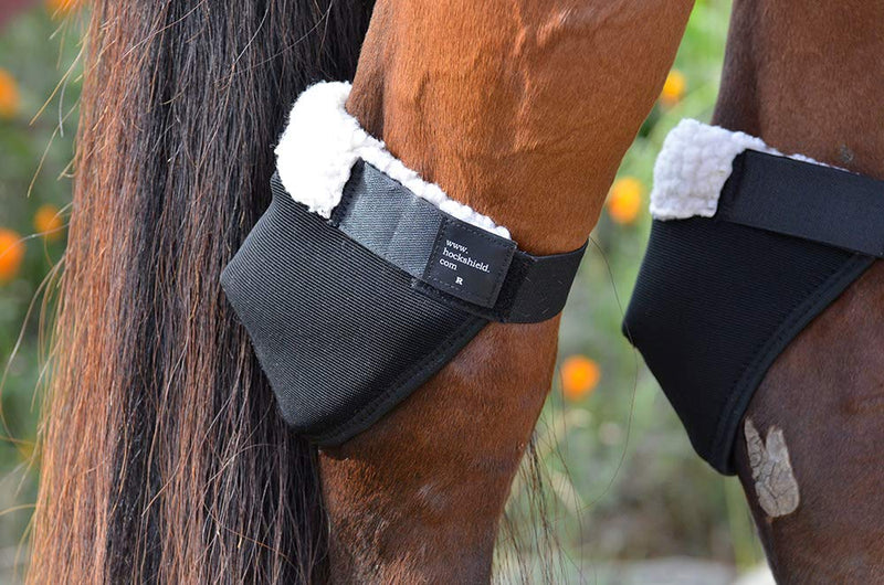 Intrepid International Hock Shield Protector X-Large Horse - PawsPlanet Australia